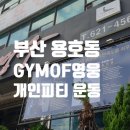 GYM of 영웅 이미지