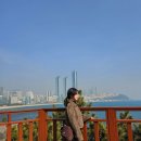 동백섬 | 뚜벅이라 더 좋았던 해운대 동백섬 산책로 다녀온 후기 🌊 (부산인)