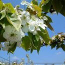 현철농장 이미지