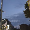 아로마약국 | 기다리는 드라마