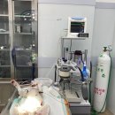 돌봄동물메디컬클리닉 이미지