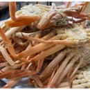 묵호항 자연산 수산물 판매시장 이미지