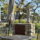 이화로 256 | 평택 브런치카페 이화로256 힐링타임🍂🍁🌿