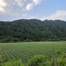 국빈장여관 - 창원시 성산구 용지로121번길 31 | 국빈장여관