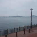 평화인력센터 이미지