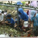 금원산 자연휴양림 이미지