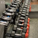 프로바디핏 이미지