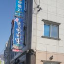 지세포 이미지
