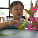 엄사보건지소 이미지