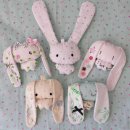 3월 11일 <흙의 날> 반려식물: 아스파라거스 나누스 | 26.03