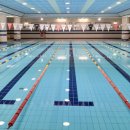 포항시여성문화관수영장 이미지
