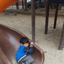 승지어린이공원 이미지