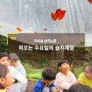 학성초등학교길 이미지