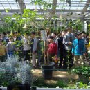 강박사태권도장 이미지