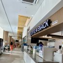 스파렉스 이미지