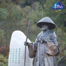 영월-72 네이버블로그