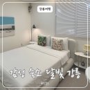 여행자모텔 | 강릉 중앙시장 도보 10분 뚜벅이 여행자 숙소 추천 | 감성 숙소 달빛 강릉 내돈내산 후기
