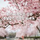 봄날 이미지