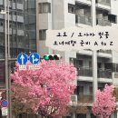 미니스톱 김해문화점 | [ 일본 모녀 여행 A to Z 완벽 정리 꿀팁 ] 간사이 공항에서 교토 가는 법:: 간사이 공항 이온 ATM 위치...