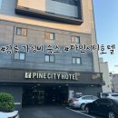 파인시티호텔 | 강릉 8만원 숙소 추천, 파인시티호텔