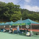 주식회사 천연살균의학처 | 대전하나시티즌 '2026 하나퀸즈컵' 쿨링존 성공 후기! 체감온도 10도 낮추는 폭염 대비책