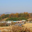 증자마을회관 이미지