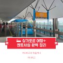 삼성오거리(교통섬) | 센토사 아일랜드 Sentosa Island : 필수 여행 코스 센토사섬 추천 포토존 준비물 꿀팁 완벽 정복!!