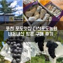 신용농원 | 포천 포도의 명가 다산 포도농원 내돈내산 방문후기