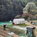 정골농장 이미지