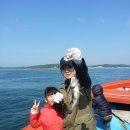 수진호