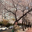 밤낮상회 이미지