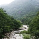 무릉계곡 이미지