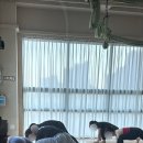 요가;쉼 - 안양시 만안구 안양로 316 | 요가;쉼