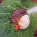 군위참좋은한우 이미지