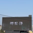 송극 | [광주기아챔피언스필드] 서울 사는 엔씨팬 / 20250322 KBO 프로야구 / NC 다이노스 VS 기아타이거즈(KIA...