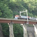 일흥민박 이미지