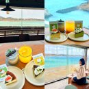 크린에이드제주표선점 | 제주 표선 카페 표선해수욕장 디저트 맛집 젠타일스