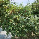 달림농장 이미지