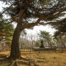 함허대사부도 이미지