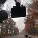 펫클럽 계양점 이미지