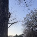 장미산업자원