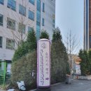 슬리키지 헤어포션 | 동탄미용실 동탄타운하우스미용실 슬리키치헤어포션 애쉬브라운 옴브레