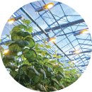 햇빛농장 이미지