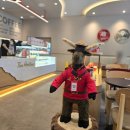 팀홀튼 메뉴 팀홀튼 가격 더블더블 멜트 샌드위치 내돈내산