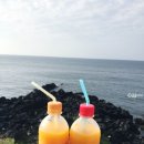 만복농장2 네이버블로그
