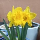 이심전심 이미지