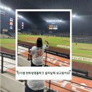 정안정삼산점 | 민기쌤 한화생명볼파크 홈피날레 보고왔어요![한화생명볼파크 3루 내야지정석 115구역 9열 뷰/한화생명...