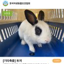 광주TNR동물병원(송정) 이미지