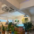 이상 과자점 | 라미과자점 | 전남 화순 카페 추천 화순 디저트 맛집