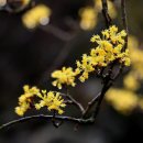 월계(회관)마을회관 이미지